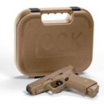 glock-glockg19-px1950703__89729.jpg
