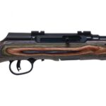 798514-Savage_Arms_A22_BNS-SR_22lr_Semi-Automatic_Rifle_Matte_Forest_Green_47249.jpg
