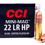 CCI-22lr-HP-0031-100rd-s-o__71441.jpg