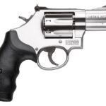 Smith-Wesson-686-Plus-25-3.jpg