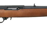 ruger-ruger1022-1103__55915.jpg
