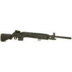 springfield3.jpg