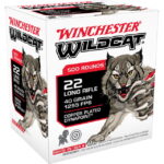 winchester-ww22lrb__68745.jpg
